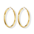 Earring Hoop